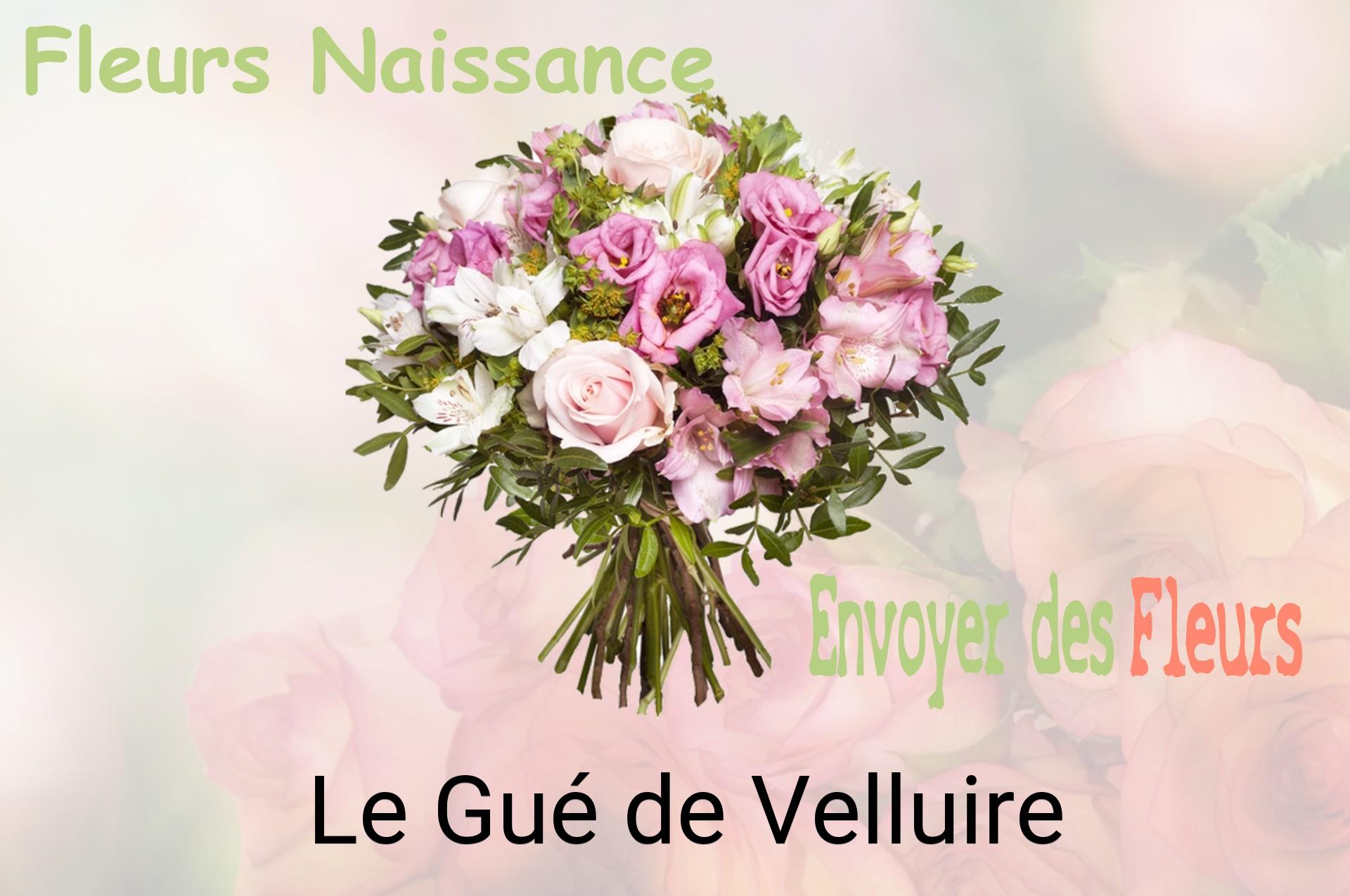 Bouquet de fleurs de naissance livré à Le Gué-de-Velluire